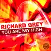 Stream & download You Are My High (Remixes)