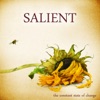 Salient - If You Want Me (Love to Love You)
