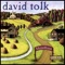 Lisa - David Tolk lyrics