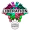 Liberation - Sound Remedy lyrics