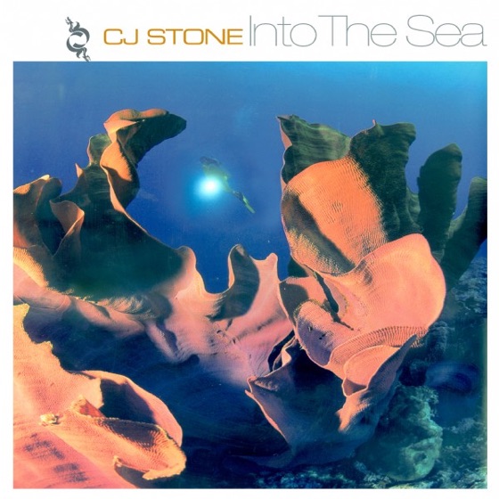 Cover artwork for Into the Sea