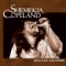 Salt In My Wounds - Shemekia Copeland lyrics