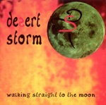 Desert Storm - Spirit of Now