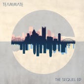 TeamMate - Sequel
