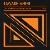 Till Human Voices Wake Us - Siavash Amini
