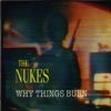 Why Things Burn artwork