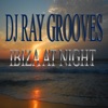 DJ Ray Grooves - Ibiza At Night