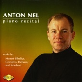 Anton Nel & Harry Sargous - 10 Pieces, Op. 24: 10 Piano Pieces, Op. 24: IX. Romance in D flat major