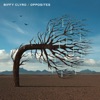 Opposites (Deluxe) artwork