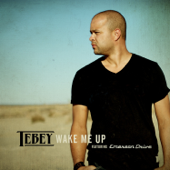Wake Me Up (feat. Emerson Drive) - Tebey