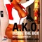 Inside the Box - A.K.O. lyrics