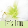 Let's Latin artwork