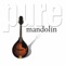 Theme from Captain Corelli's Mandolin artwork