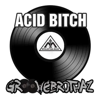 Acid Bitch (Instrumental) by Groovebrothaz song reviws