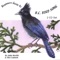 Thrushes - John Neville & Mel Coulson lyrics