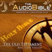 Audio Bible Old Testament 08: Esther - Job artwork