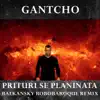 Prituri Se Planinata (Balkansky Robobaroque Remix) song lyrics