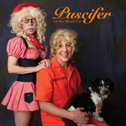 All Re-Mixed Up - Puscifer