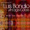 Vintage Colors (Silinder Remix) - Luis Bondio lyrics