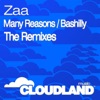 Many Reasons / Bashilly (The Remixes) - Single