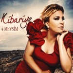 Aşk Zeki Kadını Sevmiyor