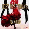 Joey Pastrana's Flamingo, Vol. 1