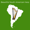 Beautiful South American Harp - Ramon Hernandez