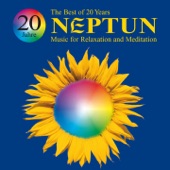 20 Years: The Best of Neptun artwork