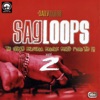 Sagloops Volume 2 - The Ultimate Bhangra Break Beats For the DJ