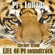 Life of Pi: Pi's Lullaby (Theme from "Life of Pi" / "L'Odyssée de Pi" / "La vita di Pi" Soundtrack) - Double Zero