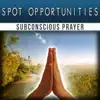 Spot Opportunities - Single album lyrics, reviews, download