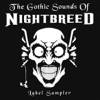 The Gothic Sounds of Nightbreed