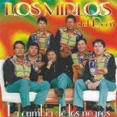 La Cumbia de los Negros artwork