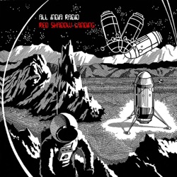 All India Radio - Owlpacas in Flight