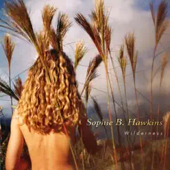 Beautiful Girl - Single - Sophie B. Hawkins