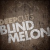 Blind Melon - St. Andrew's Fall (Demo)
