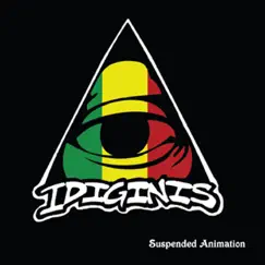 Suspended Animation by Idiginis album reviews, ratings, credits
