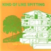 Kind Of Like Spitting