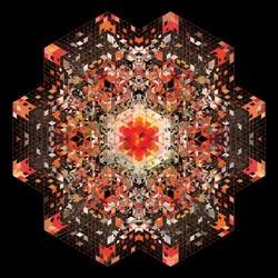 Gold Panda - Brazil