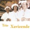 Zandunga - Trio Xavizende lyrics