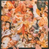 Carcass - Mucopurulence Excretor