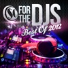 For the DJs 2012