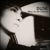 DUSK (GR) - What Are the Chances (Original Version) artwork