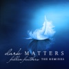 Fallen Feathers - The Remixes