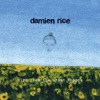 Delicate by Damien Rice iTunes Track 3