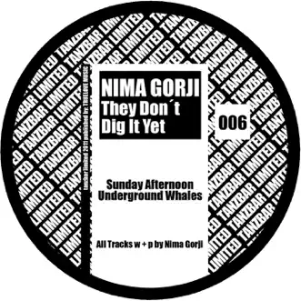 They Don't Dig It Yet - Single by Nima Gorji album reviews, ratings, credits