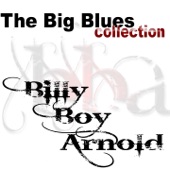 Billy Boy Arnold - I Was Fooled