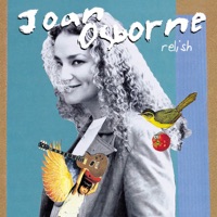 Joan Osborne - One Of Us