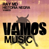 Historia Negra (AFM Groove & Drums House Remix) artwork