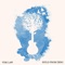 Never Met You - Tom Law lyrics